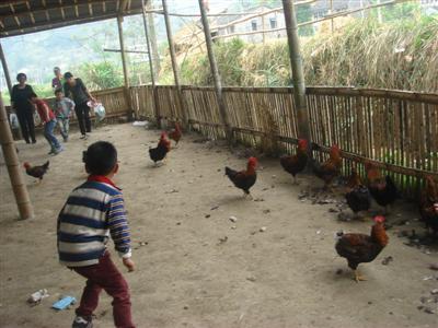 我的相册