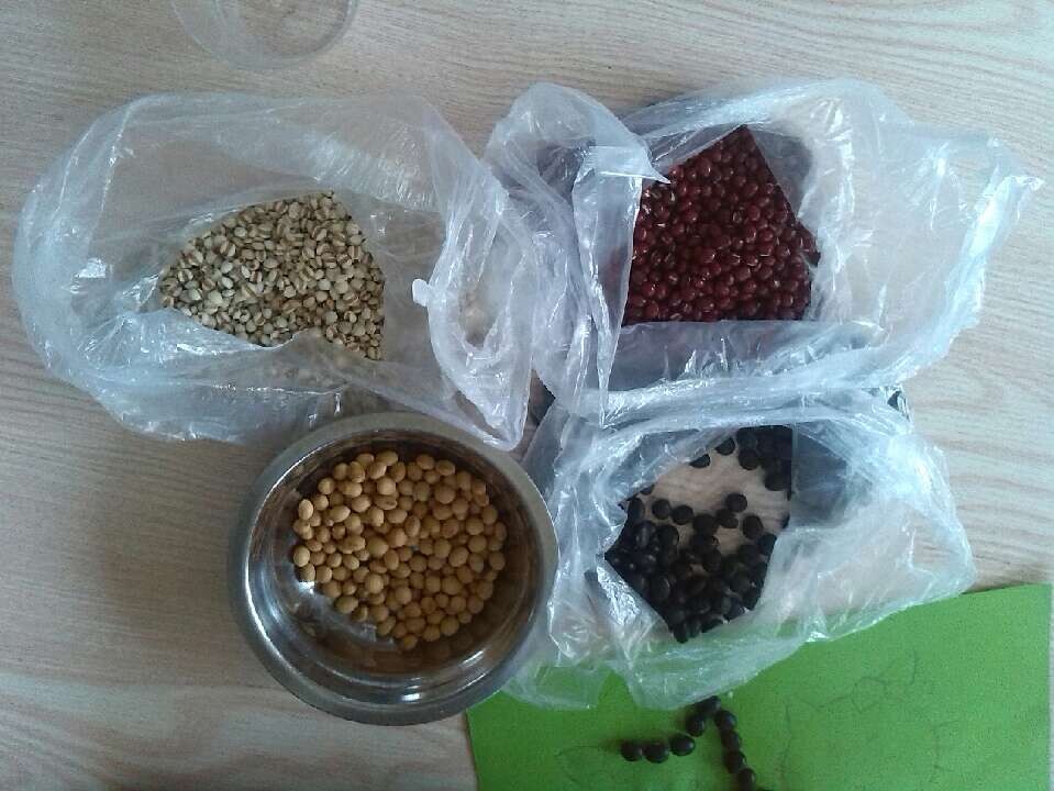 在家玩豆画