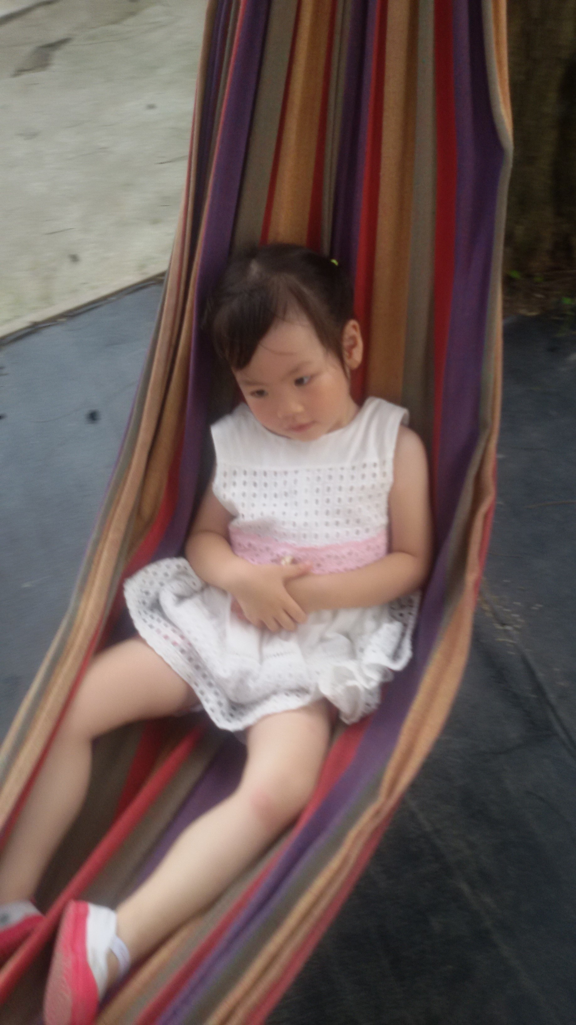 出游