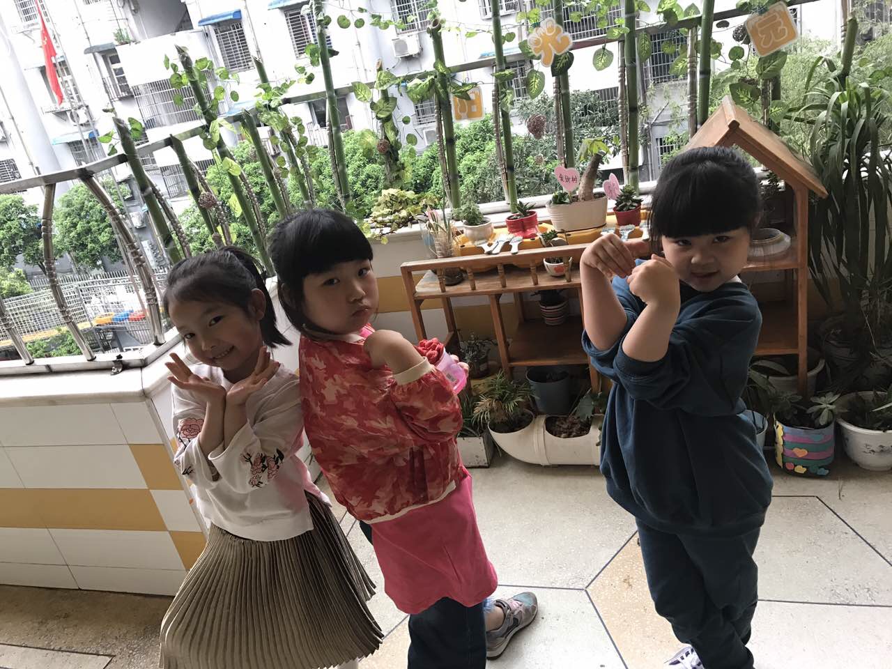 我的相册