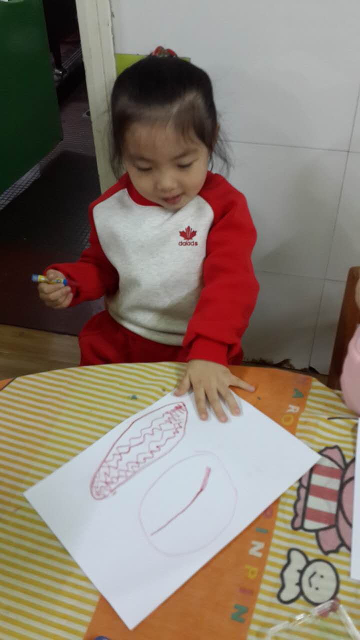 小五班第一个学期