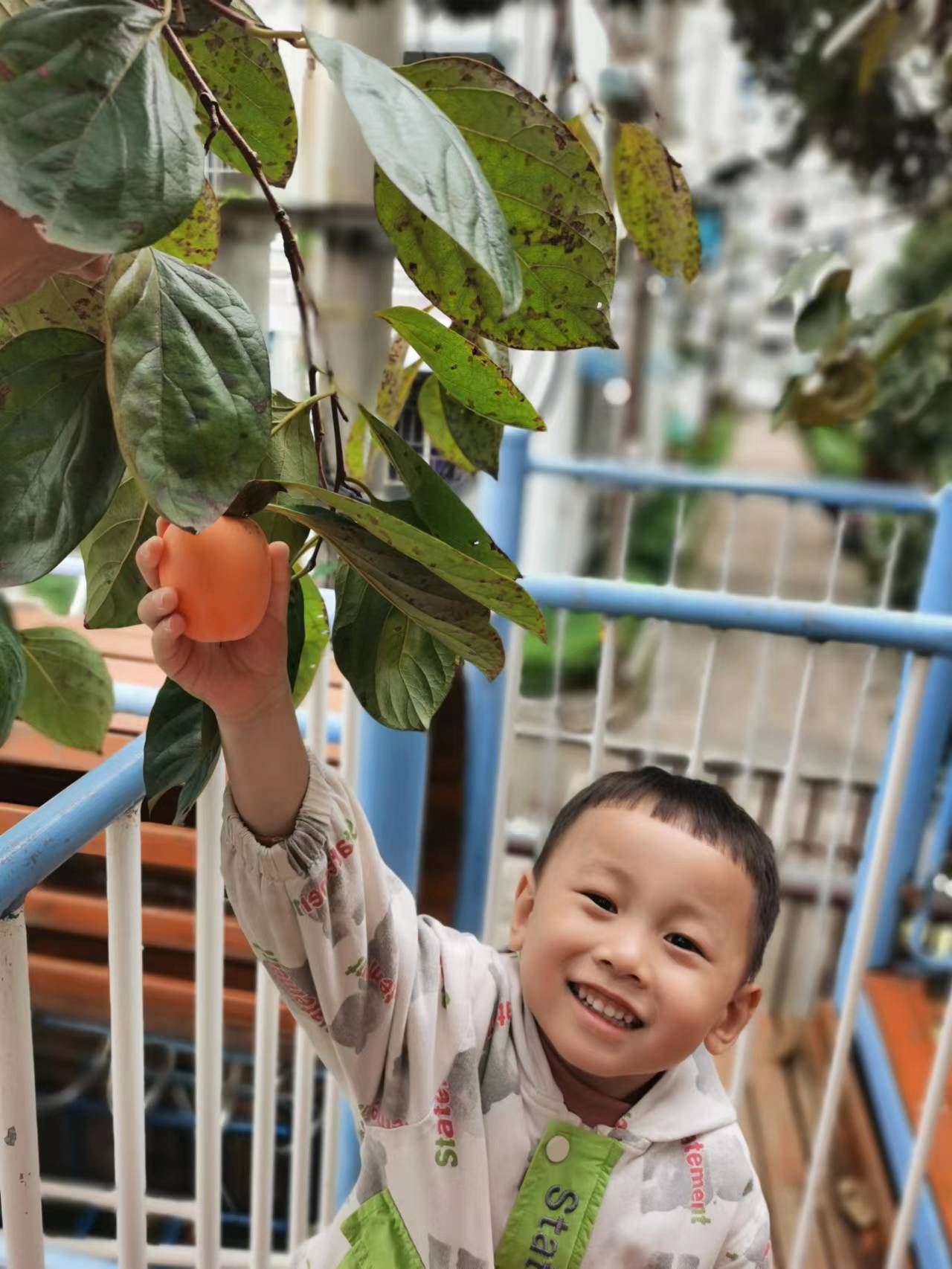 我的相册