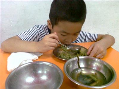 我的相册