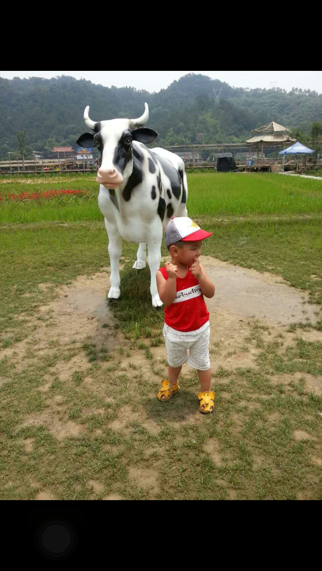 我的相册