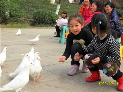 我的相册