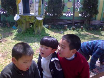 我的相册