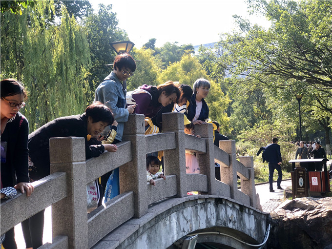 微信图片_20181031110558.jpg