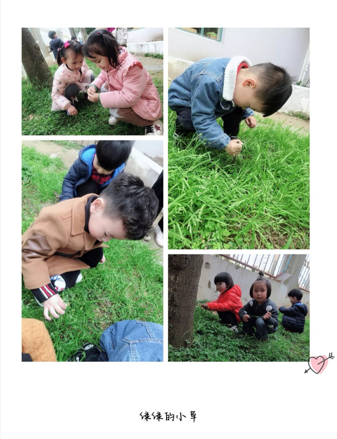 Screenshot_20190319_095111.jpg