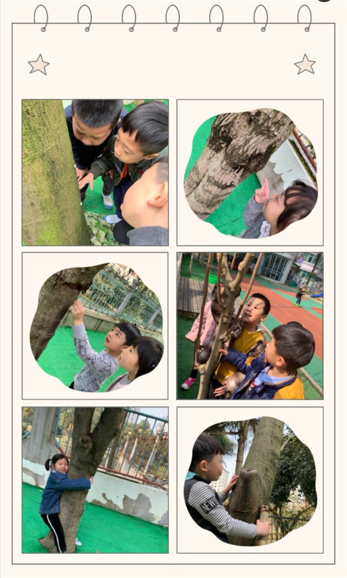Screenshot_20190319_100114.jpg