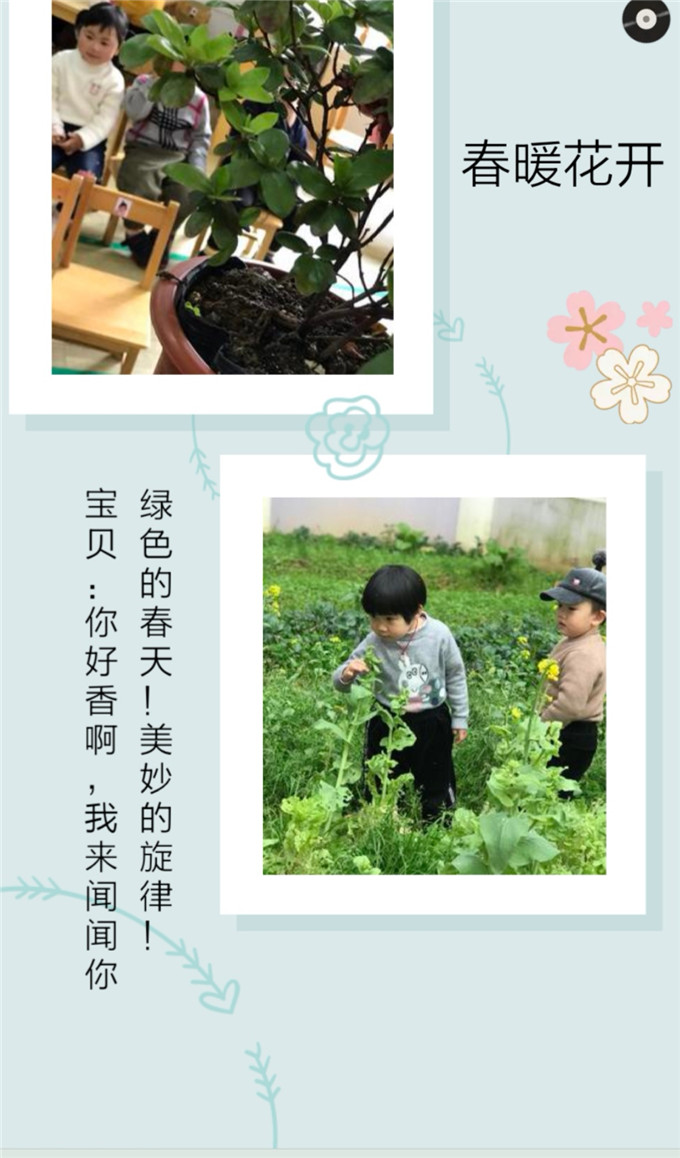 Screenshot_20190319_102718.jpg